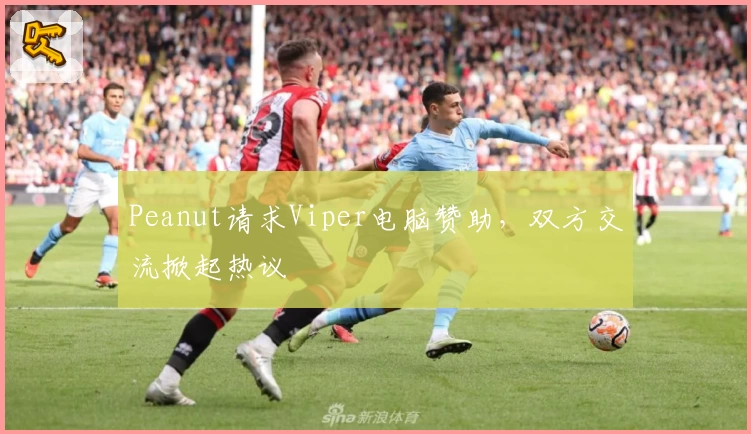 Peanut请求Viper电脑赞助，双方交流掀起热议