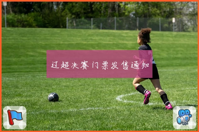 辽超决赛门票发售通知